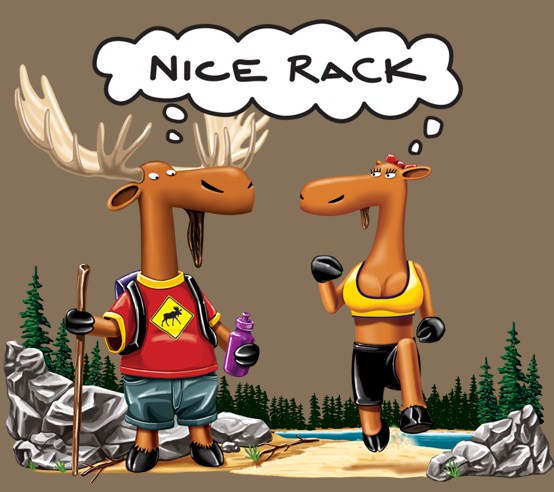 Name:  rack-001.jpg
Views: 615
Size:  69.6 KB