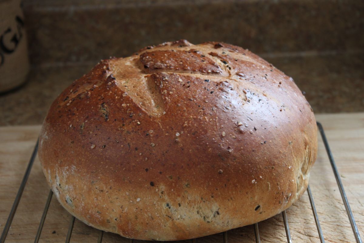 Name:  Olive bread 2.JPG
Views: 3169
Size:  118.8 KB