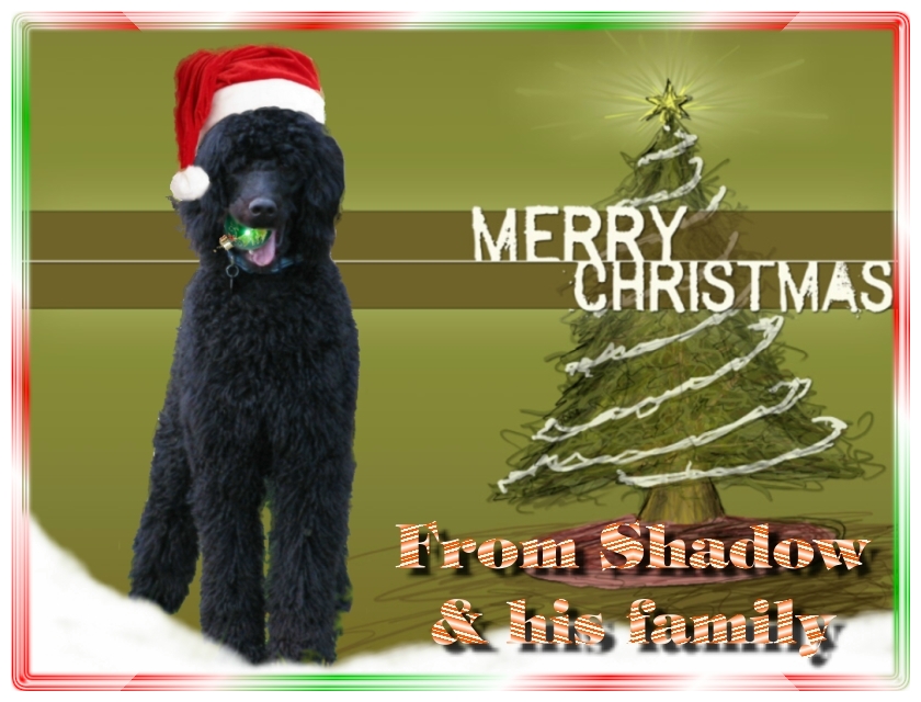 Name:  shadow-christmas-card-3.jpg
Views: 34936
Size:  291.5 KB