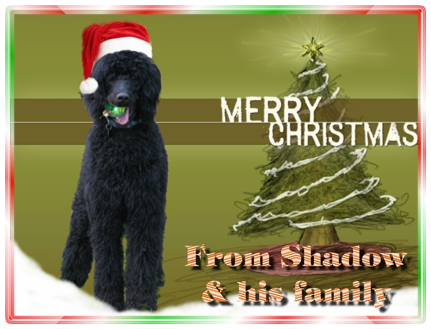 Name:  shadow-christmas-card-3.jpg
Views: 35170
Size:  291.5 KB