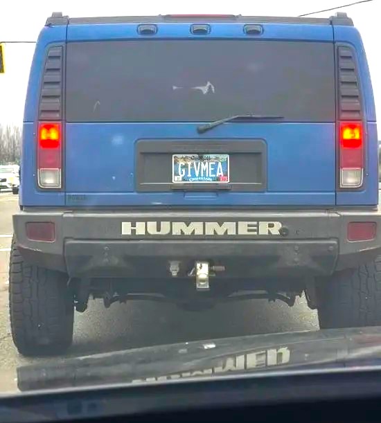 Name:  Hummer..jpg
Views: 492
Size:  54.6 KB