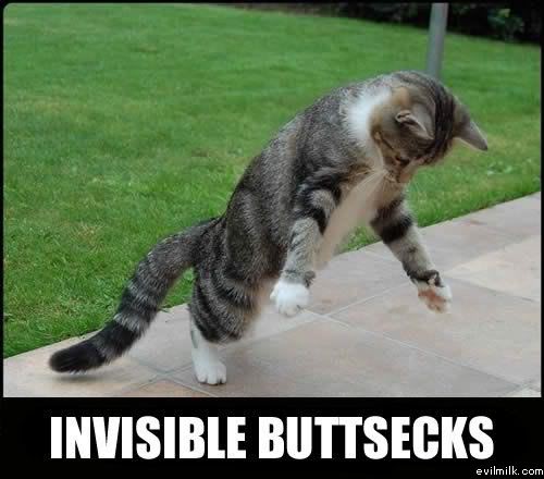 Name:  Invisible_buttsecks.jpg
Views: 23465
Size:  35.0 KB