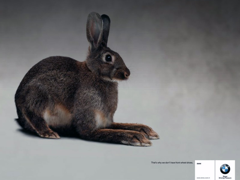 Name:  bunny.jpg
Views: 3997
Size:  55.3 KB