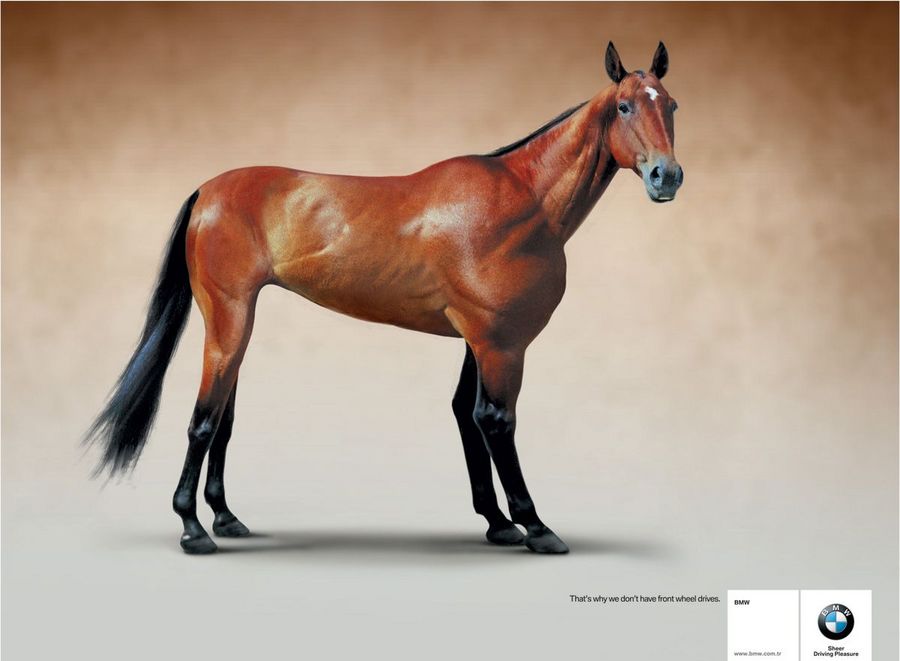 Name:  horse.jpg
Views: 5064
Size:  47.7 KB